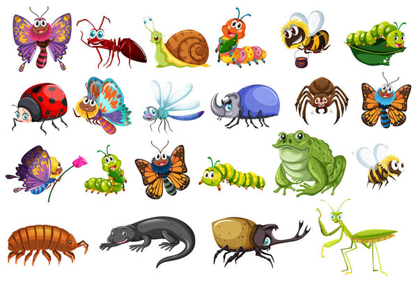Set of insects including butterflies, ants, beetles, lizards, fr