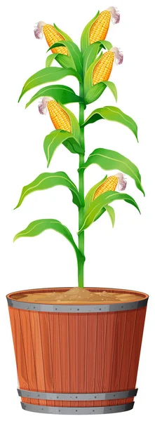 Topfpflanze mit grünen Blättern auf isoliertem weißem Hintergrund — Stockvektor