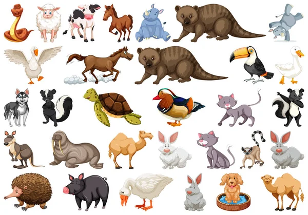 Diverso conjunto de animales aislados en blanco — Vector de stock