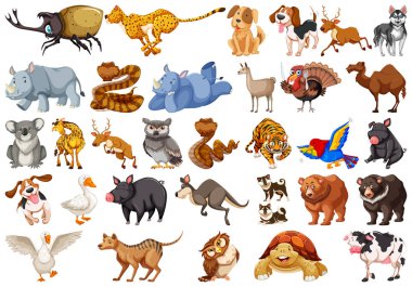 Beyaz üzerinde izole hayvanların çeşitli seti