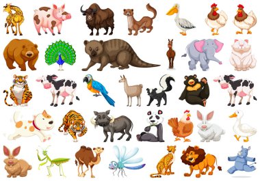 Beyaz üzerinde izole hayvanların çeşitli seti