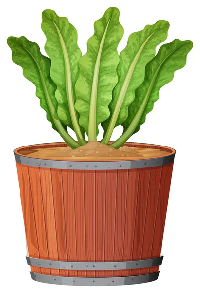 Planta de maceta con hojas verdes sobre un fondo blanco aislado — Vector de stock