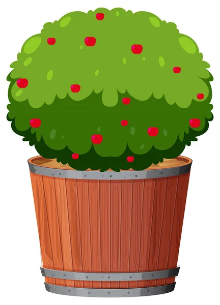 Planta de maceta con hojas verdes sobre un fondo blanco aislado — Vector de stock