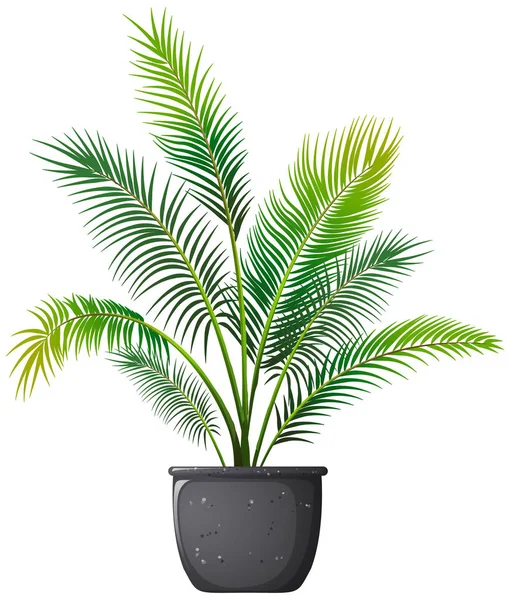 Plant in pot with soil isolated — Stock Vector