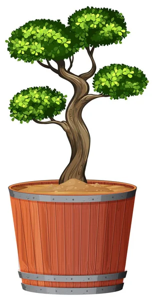 Plant in pot met geïsoleerde bodem — Stockvector