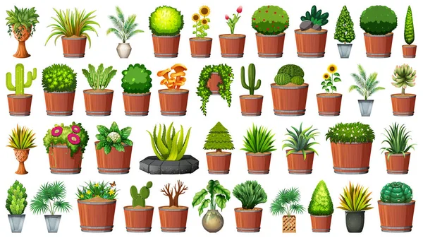 Colección de plantas en maceta sobre blanco — Vector de stock