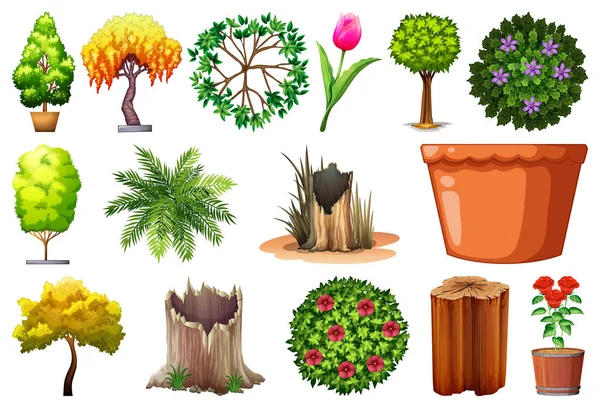 Coleção de plantas com folhas, flores, tronco de árvore —  Vetores de Stock