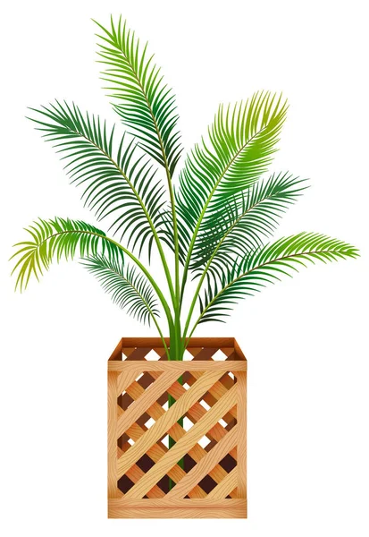 Planta en maceta con suelo aislado — Vector de stock