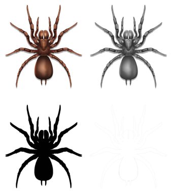 Siluet, renk ve anahat sürümü