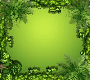 Bitkilerin ve kayaların havadan görünümü