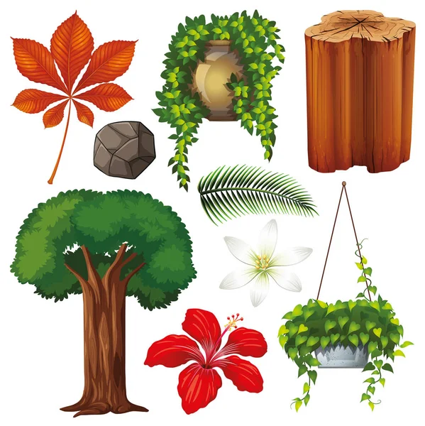 Conjunto de objetos aislados tema naturaleza — Vector de stock