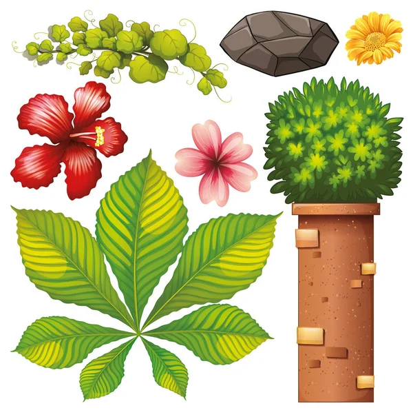 Set of isolated objects theme gardening — Stock Vector