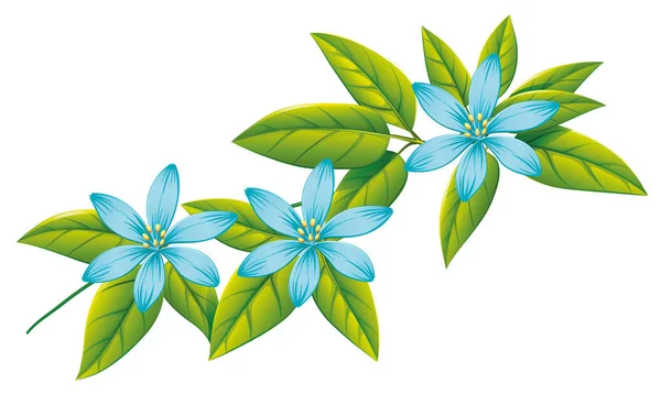 Flores azules y hojas verdes sobre fondo blanco — Archivo Imágenes Vectoriales