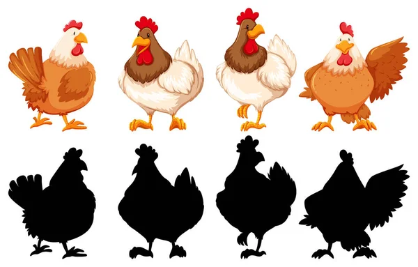 Silhouette, color and outline version of chickens — Stock Vector