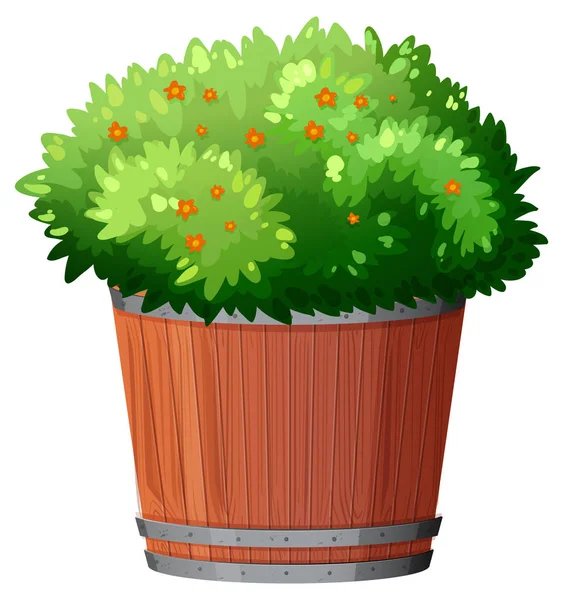 Planta de maceta con hojas verdes sobre un fondo blanco aislado — Vector de stock