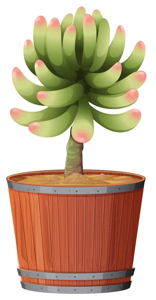 Plante en pot avec terre isolée — Image vectorielle