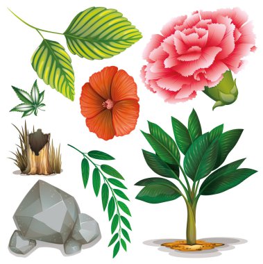 Yalıtılmış nesneler tema doğa kümesi