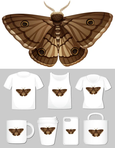 Bild av Moth på olika typer av produktmall — Stock vektor