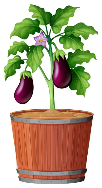 Plante en pot avec terre isolée — Image vectorielle