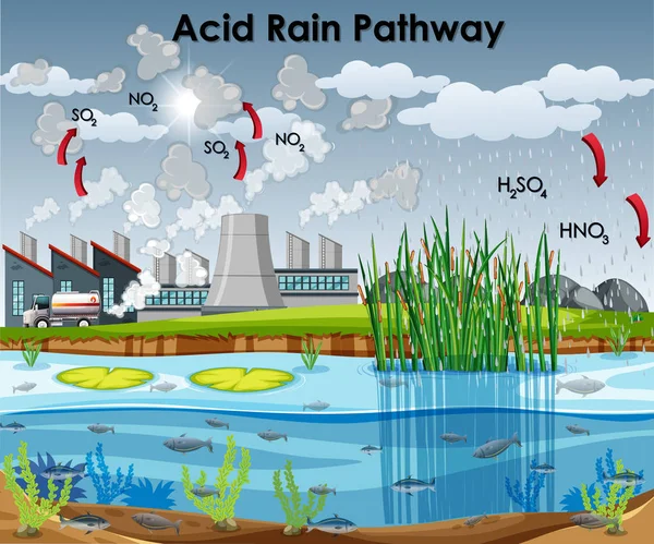 Acid Rain pathway diagram with water and factory — Stock Vector