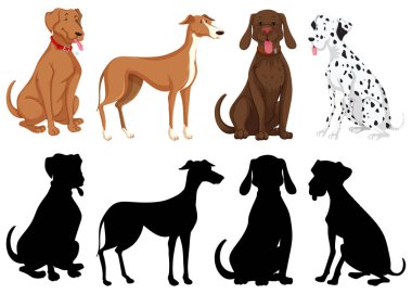 Siluet, renk ve köpeklerin anahat versiyonu izole