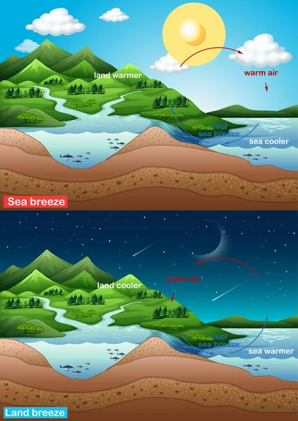 Diagramme montrant la brise marine et terrestre — Image vectorielle