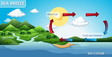 Deniz esintisi için bilim afiştasarımı