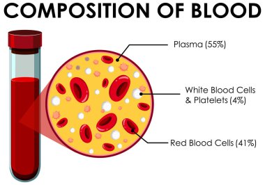 Kanın bileşimini gösteren diyagram