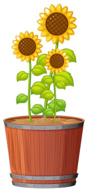 İzole edilmiş beyaz arka planda yeşil yapraklı ot bitkisi