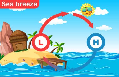 Deniz esintisi için bilim afiştasarımı