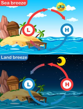 Deniz ve kara esintisi gösteren diyagram