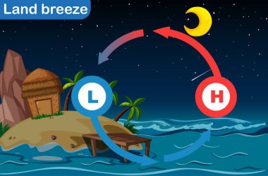 Kara esintisi sirkülasyonunu gösteren diyagram