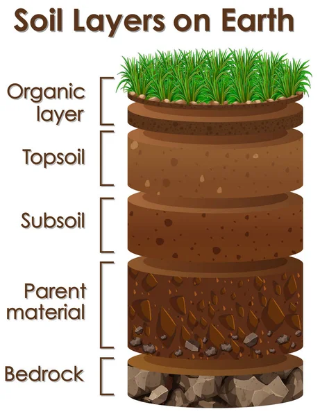 Diagram znázorňující půdní vrstvy na zemi — Stockový vektor