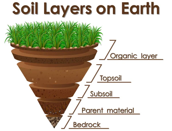 Schema che mostra gli strati del suolo sulla terra — Vettoriale Stock