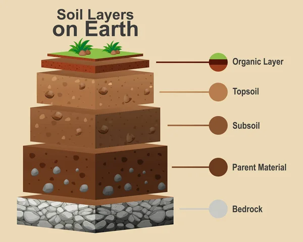 Diagram som visar olika lager av jord — Stock vektor