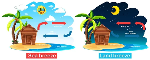 Draw a diagram of each type of breeze