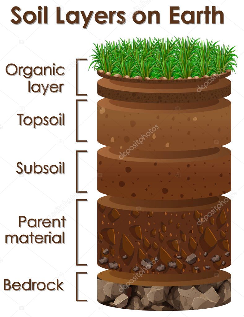 Diagram showing soil layers on earth