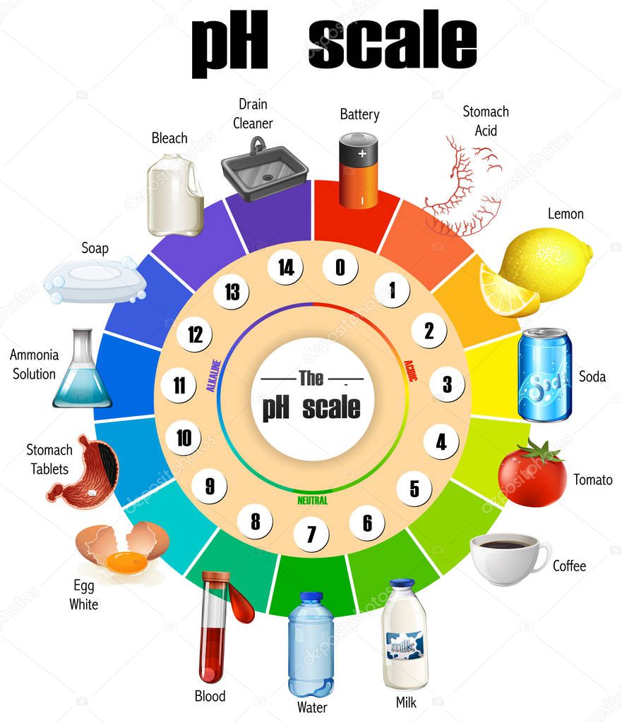 The pH scale on white background