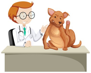 Hasta hayvan ile Veteriner
