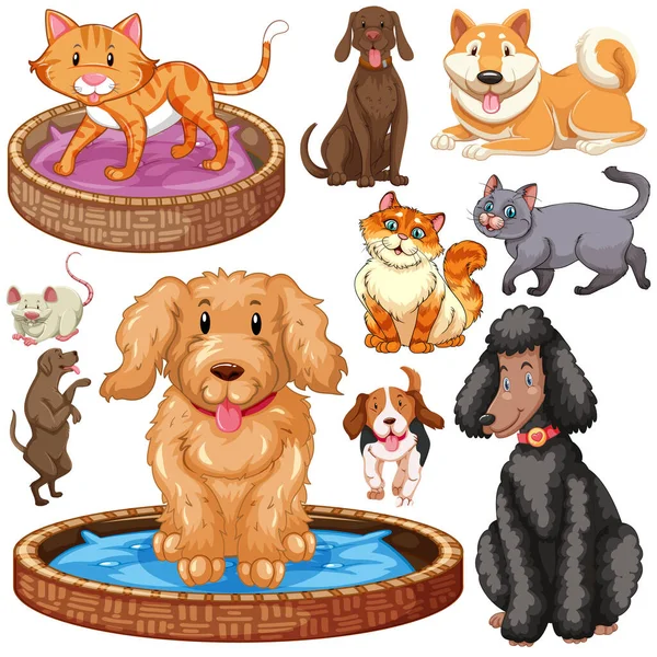 Conjunto de gatos e cães isolados —  Vetores de Stock