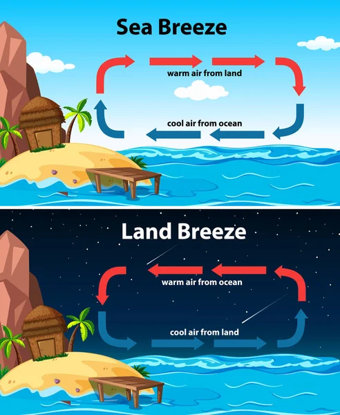 Diagrama mostrando mar e terra brisa — Vetor de Stock