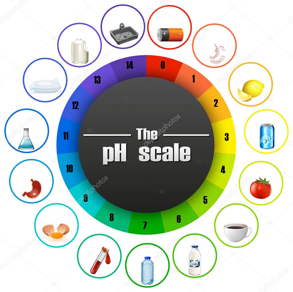 The pH scale on white background