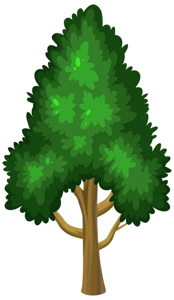 One Big Tree White Background Illustration — Stock Vector