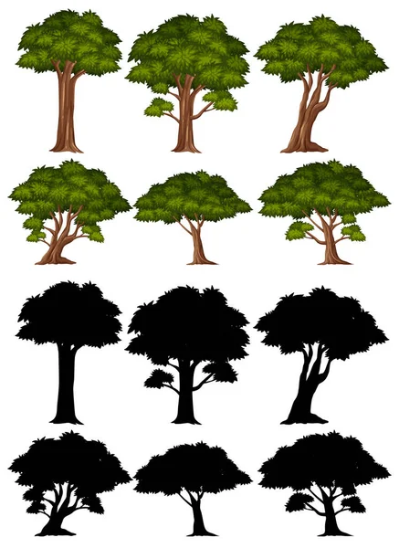 Silueta Obrázky Velkého Stromu Bílém Pozadí Ilustrace — Stockový vektor