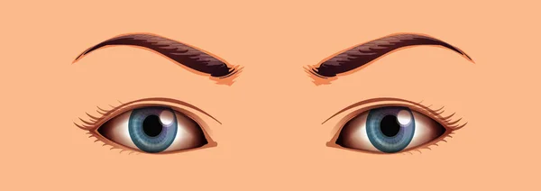 Mänsklig Närbild Ögon Område Illustration — Stock vektor