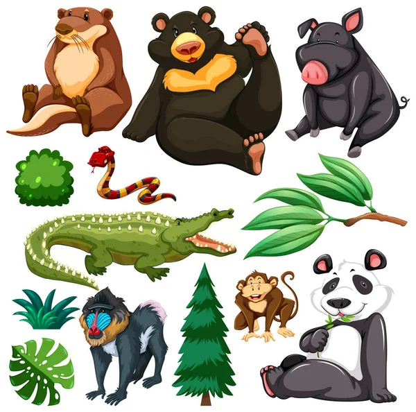 Conjunto Animais Selvagens Bonitos Ilustração Natureza — Vetor de Stock