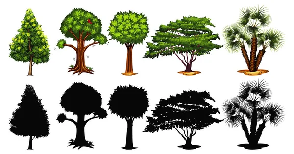 Sada Ilustrací Stromu Stínu — Stockový vektor