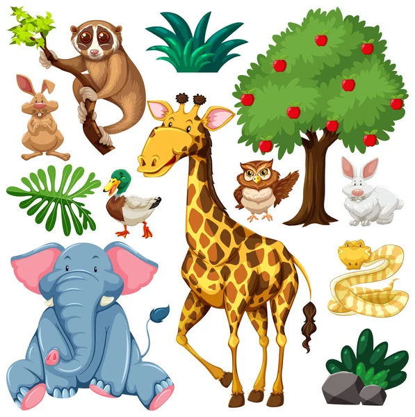 Set Cute Wild Animal Nature Illustration — Stock Vector