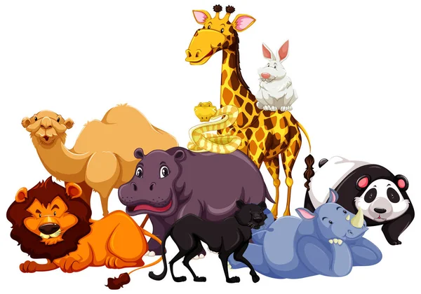 Grupo Ilustração Animal Selvagem —  Vetores de Stock