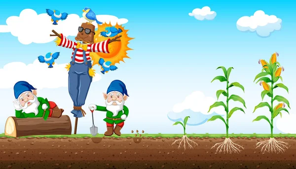 Gnome Dan Scarecrow Gaya Kartun Dengan Jagung Pertanian Dan Langit - Stok Vektor